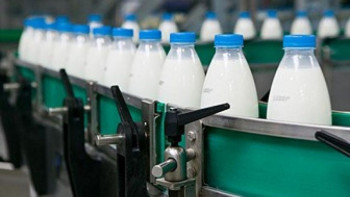 Фотография к новости: Сайрамдық кәсіпкер тәулігіне 10 тонна сүтті өңдеп отыр