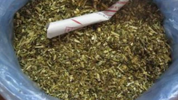 Фотография к новости: 70 кг махоркамен ұсталды