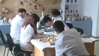 Фотография к новости: Павлодарда «Ymai» халықаралық ғылыми-зертханасы ашылды