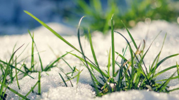 Фотография к новости: Бүгін еліміздің басым бөлігінде тұрақсыз ауа райы сақталады