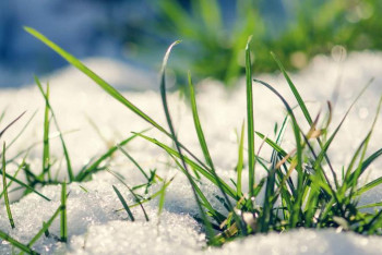 Фотография к новости: Бүгін еліміздің басым бөлігінде тұрақсыз ауа райы сақталады