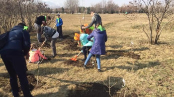 Фотография к новости:  ﻿ҚР Тұңғыш Президенті саябағында 100 түп бөртегүл егілді