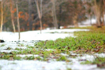 Фотография к новости: Еліміздің басым бөлігінде тұрақсыз ауа райы сақталады