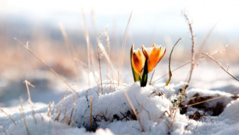 Фотография к новости: Республика бойынша ауа райы ашық болады