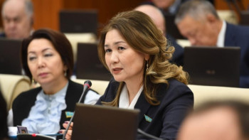 Фотография к новости: Елорда – бейбіт күннің символына айналды - Анар Жайылғанова