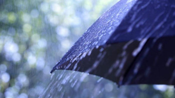 Фотография к новости: Бүгін еліміздің басым бөлігінде жауын-шашын жауады