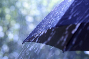 Фотография к новости: Бүгін еліміздің басым бөлігінде жауын-шашын жауады