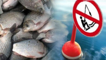 Фотография к новости: Қытай билігі Ертісте балық аулауға тыйым салады 