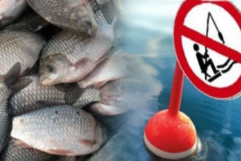 Фотография к новости: Қытай билігі Ертісте балық аулауға тыйым салады 