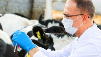 Фотография к новости: Ветеринарлық бақылау қызметі Ауыл шаруашылығы министрлігіне қайтарылады