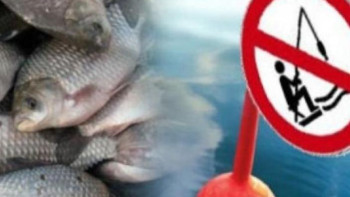 Фотография к новости: Шығыс Қазақстанда балық аулауға уақытша тыйым салынды