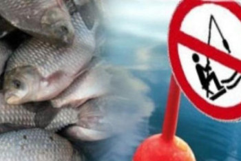 Шығыс Қазақстанда балық аулауға уақытша тыйым салынды