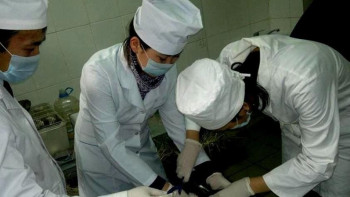 Фотография к новости: Ветеринар ғалымдар депутаттарға Үндеу жасады