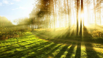 Фотография к новости: Сәуірде ауа райы 30 градусқа дейін ысуы мүмкін