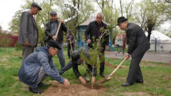 Фотография к новости: Түркістанда 100 мың тал отырғызылады