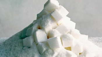 Фотография к новости: Жаңаөзенде қант зауыты іске қосылады 