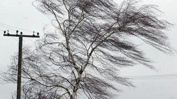 Фотография к новости: СҚО-да дабылды ескерту жарияланды