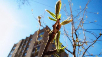 Фотография к новости: Синоптиктер сәуірде қазақстандықтарды қандай ауа райы күтіп тұрғанын болжады