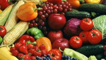 Фотография к новости: Түркістан облысында бақша дақылдары көбірек өсірілмек