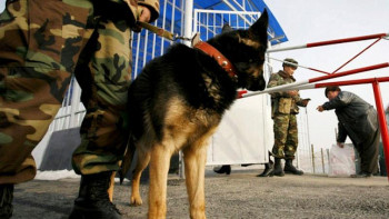 Фотография к новости: Жазадан құтылмақ болған азамат есірткі оралған түйіншекті жұтып қойды