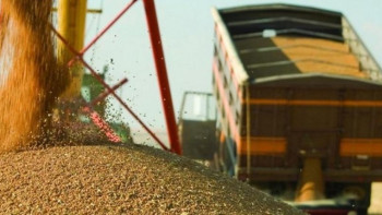 Фотография к новости: Қазақстандық бидайдың экспорты 35% өсті