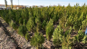 Фотография к новости: Ғалымдар бірегей экологиялық жобаны қолға алды