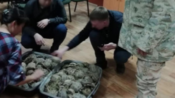 Фотография к новости: Қостанайлық шекарашылар 131 тасбақаны  шекара асудан сақтап қалды