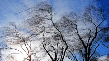 Фотография к новости: 9 сәуірге арналған ауа райы болжамы