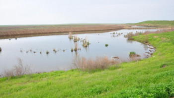 Фотография к новости: Түркістан облысында жаңа демалыс орны ашылады