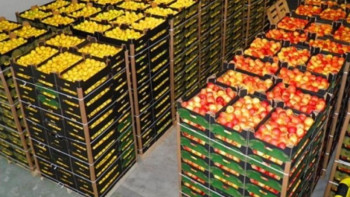 Фотография к новости: Шекарадан бір тәулікте 102 млн теңгенің тауары тәркіленді