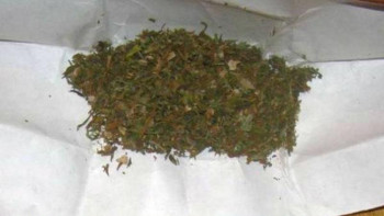 Фотография к новости: Шекарашылар екі жолаушыдан есірткі тапты