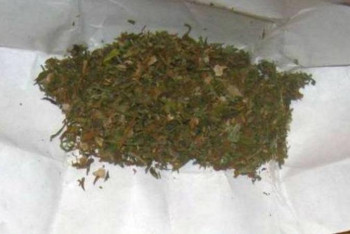 Фотография к новости: Шекарашылар екі жолаушыдан есірткі тапты