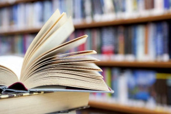 Фотография к новости: Сот жүйесіндегі терминологияда да шатқаяқтап тұрған жағдай көп