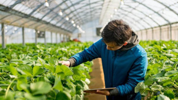 Фотография к новости: Түркістан облысында 5 млрд теңгеден астам инвестиция тартылған