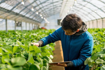 Фотография к новости: Түркістан облысында 5 млрд теңгеден астам инвестиция тартылған