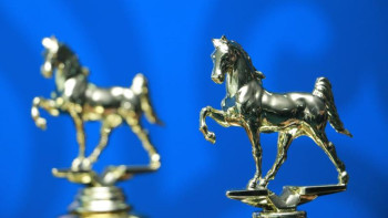 Фотография к новости: Ұлттық ат спортынан Жастар арасындағы І Азия чемпионаты өтеді