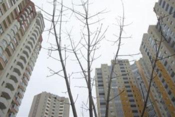 Фотография к новости: Шымкентте көпбалалы отбасыларға 3000 пәтер салынады