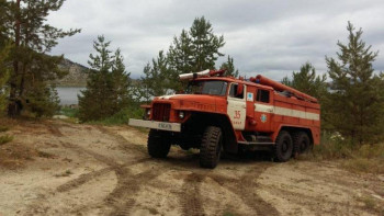 Фотография к новости: ШҚО-да орман қорын ұлғайту шаралары қолға алынуда