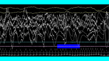 Фотография к новости: ИТЖЫҒЫС. Түс. Оны көру, оны жору