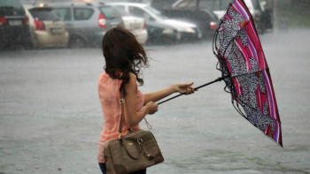 Фотография к новости: ﻿Елордада жаңбыр жауып, соңы қарға ұласуы мүмкін