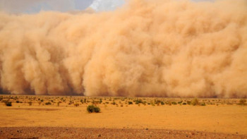 Фотография к новости: Пәкістанда болған құмды дауылдан 5 адам көз жұмды