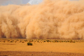 Фотография к новости: Пәкістанда болған құмды дауылдан 5 адам көз жұмды