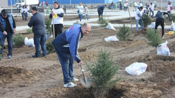 Фотография к новости: Павлодарда қаржы қызметкерлері 500 түп көшет отырғызды