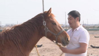 Фотография к новости: Атыраулық азамат балаларды сауықтыру үшін түрлі емдеу әдістерін қолдануда