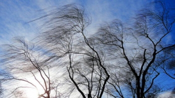 Фотография к новости: Солтүстік Қазақстан облысында дауылды ескерту жарияланды