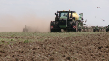 Фотография к новости: Ертіс өңірінің 10 шаруашылығы қант қызылшасын өсірмек