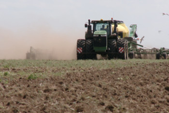 Ертіс өңірінің 10 шаруашылығы қант қызылшасын өсірмек