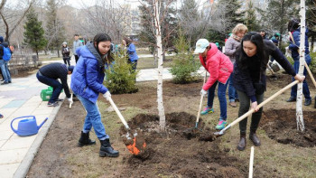Фотография к новости: Нұр-Сұлтанда 1,6 мыңнан астам ағаш отырғызылады 