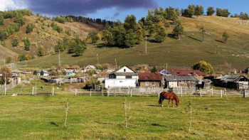 Фотография к новости: ШҚО-да «Ауыл – ел бесігі» жобасы аясында келешегі бар ауылдар іріктелді