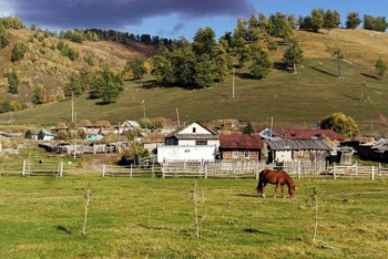 Фотография к новости: ШҚО-да «Ауыл – ел бесігі» жобасы аясында келешегі бар ауылдар іріктелді